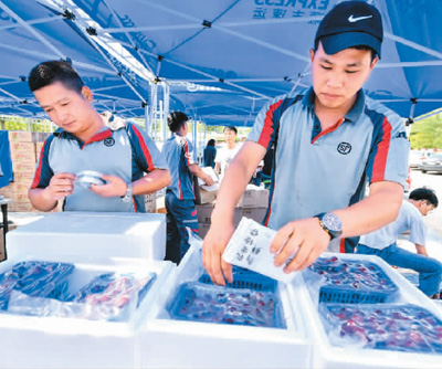 网购政策发力、创新服务……5月快递业务量同比增长41%