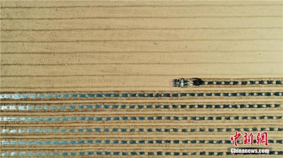 #春耕#农业农村部：引导农民做好防护同时，开展春耕备耕工作