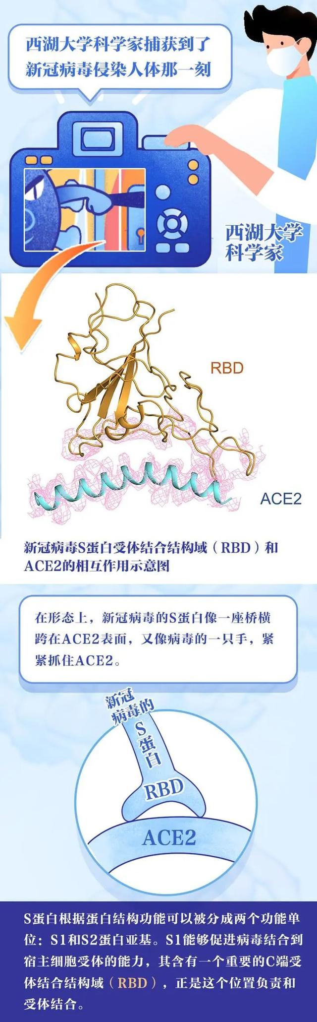 产生抗体▲好消息！第一批疫苗已产生抗体