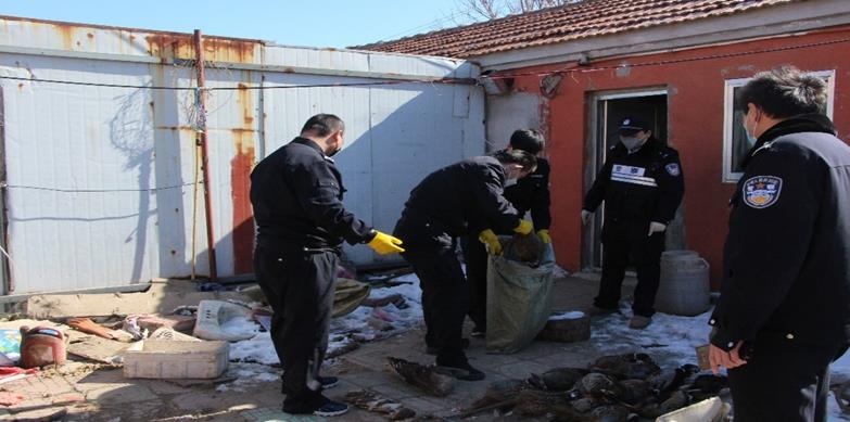 『山东』山东通报五起破坏野生动物资源案例