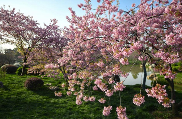 武汉长江大桥▲武汉，我们准备好拥抱你了！