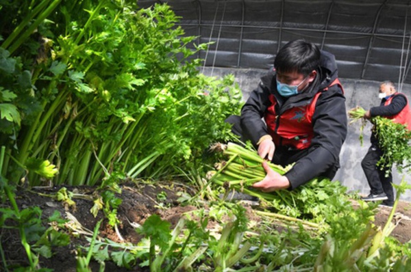 武汉长江大桥▲武汉，我们准备好拥抱你了！
