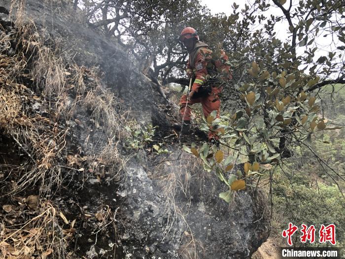 「丽江市」丽江龙蟠乡森林火灾东线已无明火 北线西线基本控制