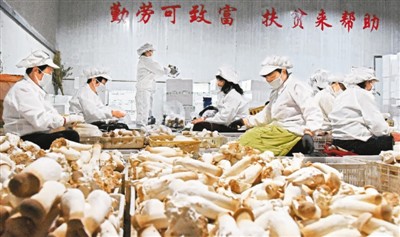 车间■扶贫小车间 致富大梦想