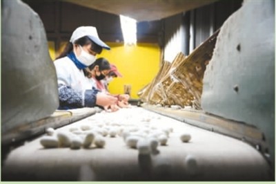 『秦岭』走进绿色秦岭