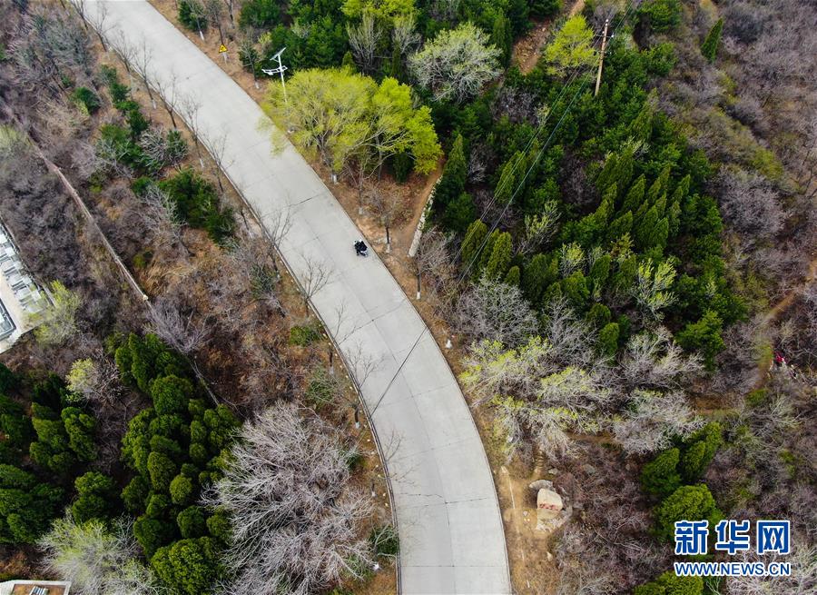 王家岭修鞋匠张明抗“疫”记
