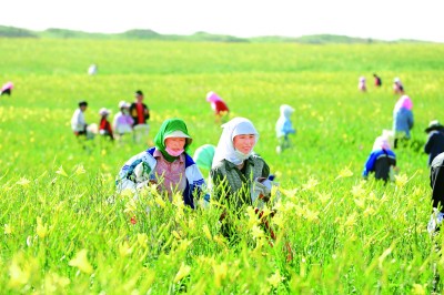 红寺堡亘古荒原“长”出绿色新家园