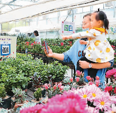 野味 疫情改变了哪些习惯