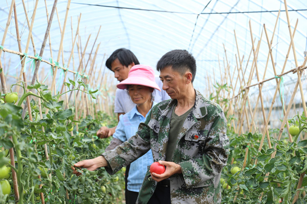 顶在前面|顶在前面 干在难处——云南云龙脱贫摘帽经验启示