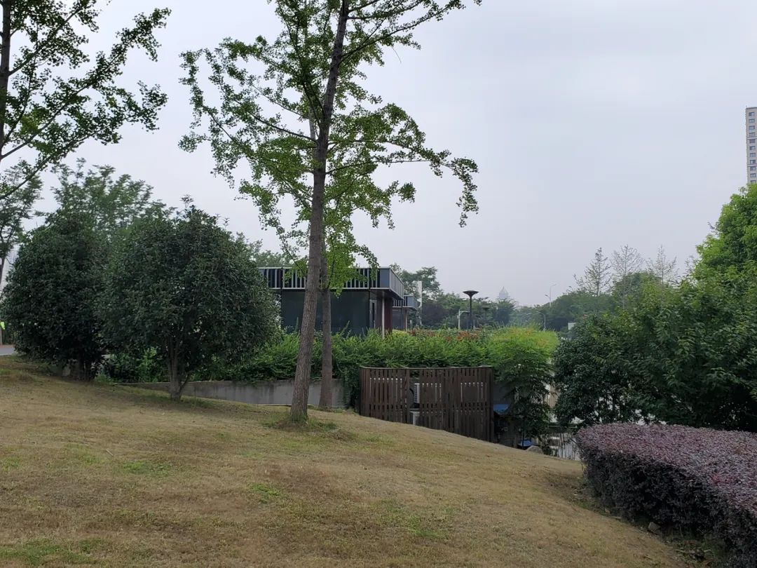 大堤|防汛已一级响应 秦淮河大堤却被挖空建高档餐厅？