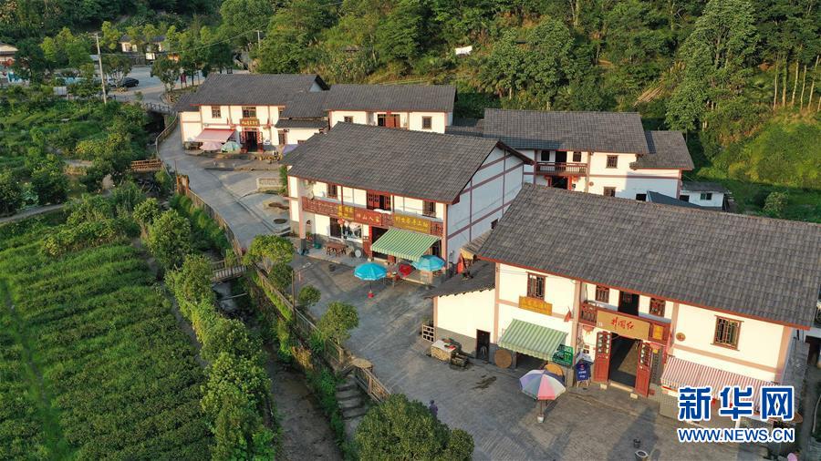 神山村|走向我们的小康生活丨神山村“神奇”何在？——井冈山深处觅答案