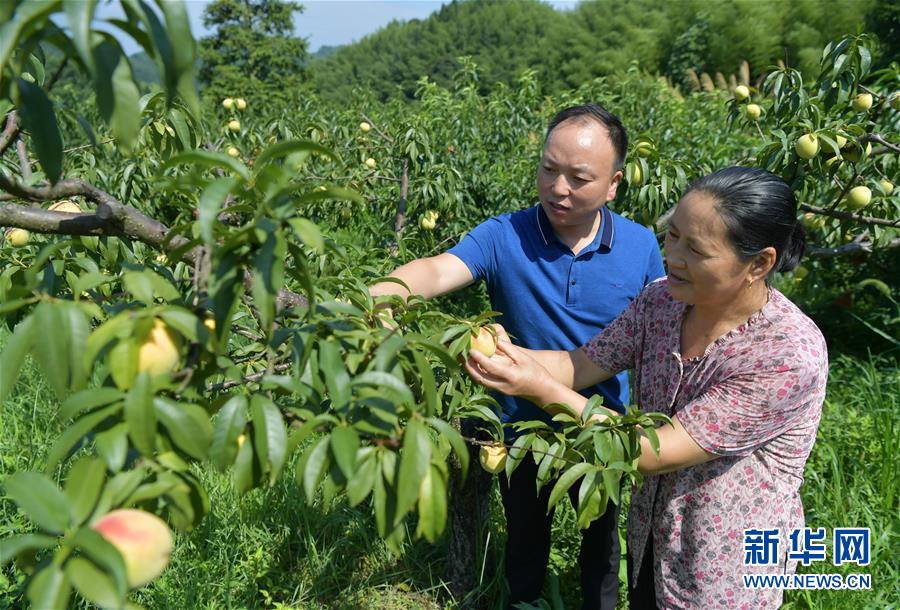 神山村|走向我们的小康生活丨神山村“神奇”何在？——井冈山深处觅答案