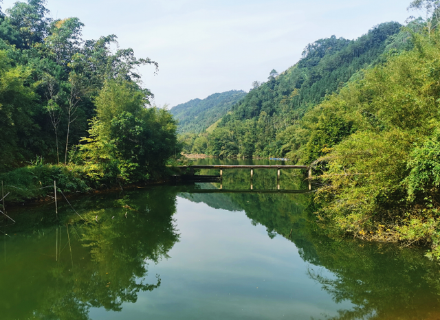 梦想|他们在广西大山里耕耘茶园，也在孩子的心中播种梦想