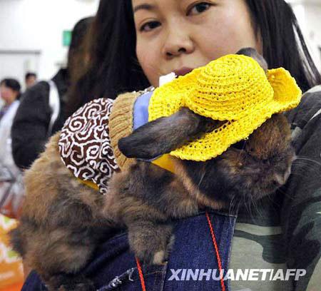 Owners&nbsp;display&nbsp;their&nbsp;rabbit&nbsp;in&nbsp;fancy&nbsp;dress&nbsp;and&nbsp;dark&nbsp;goggles&nbsp;during&nbsp;a&nbsp;rabbit&nbsp;fashion&nbsp;contest&nbsp;at&nbsp;the&nbsp;Rabbit&nbsp;Festa&nbsp;in&nbsp;Yokohama&nbsp;city&nbsp;in&nbsp;Kanagawa&nbsp;prefecture,&nbsp;suburban&nbsp;Tokyo.&nbsp;(Xinhua/AFP&nbsp;Photo)