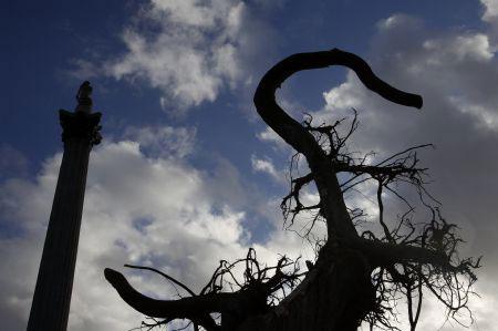 The&nbsp;Ghost&nbsp;Forest&nbsp;art&nbsp;installation&nbsp;by&nbsp;British&nbsp;artist&nbsp;Angela&nbsp;Palmer&nbsp;is&nbsp;seen&nbsp;next&nbsp;to&nbsp;Nelson's&nbsp;Column&nbsp;in&nbsp;Trafalgar&nbsp;Square&nbsp;in&nbsp;London&nbsp;November&nbsp;16,&nbsp;2009.(Xinhua/Reuters&nbsp;Photo)