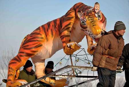 Workers carry a tiger-shaped lantern as they prepare for a lantern show at a park in Shenyang, Liaoning province January 3, 2010. According to the Chinese lunar calendar, the year of the tiger begins on February 14, 2010. [Photo/CFP]