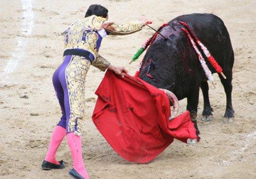 独具特色的西班牙斗牛运动