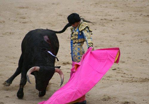 独具特色的西班牙斗牛运动_cctv.com_中国中央电视台