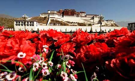 The picture taken on April 9, 2010 shows flowers in full bloom on the Potala Palace Square in Lhasa, capital of southwest China's Tibet Autonomous Region. Tibet is ready to meet its tourism boom. It is expected that as many as 6 million tourists will come to visit Tibet this year. [Xinhua/Chogo] 
