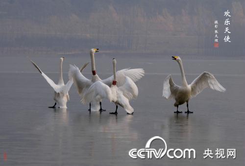 三门峡国际黄河旅游节活动亮点抢先看_cctv.co