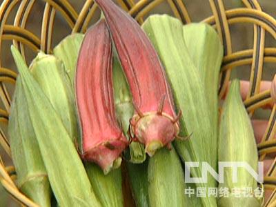 [每日农经]寻找夏季赚钱的采摘项目:小番茄 秋葵