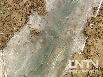 [每日农经]新兴养殖的诱惑(1)亩收入近万元的