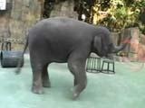 （八）韩乔生高难度解说 大象艺术体操