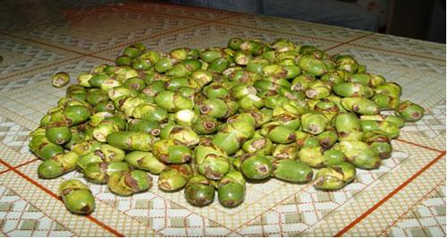 是国内较早从事台湾新鲜槟榔及台湾食品贸易的