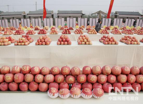 北京昌平第八届苹果文化节