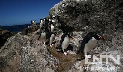 ��������������