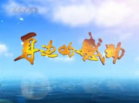 身边的感动