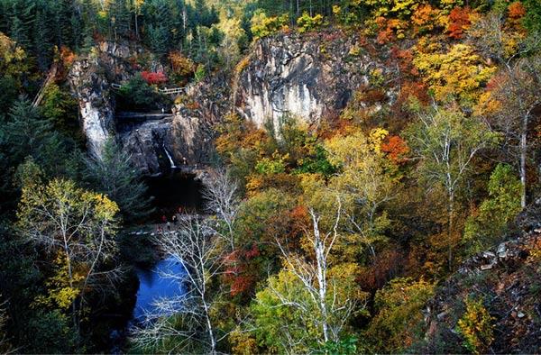茅兰沟国家森林公园