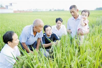 潢川县电业局:田边引来电保姆粮食不再靠天