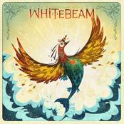Whitebeam专辑封面创作