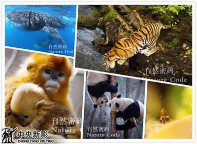 《自然密码》