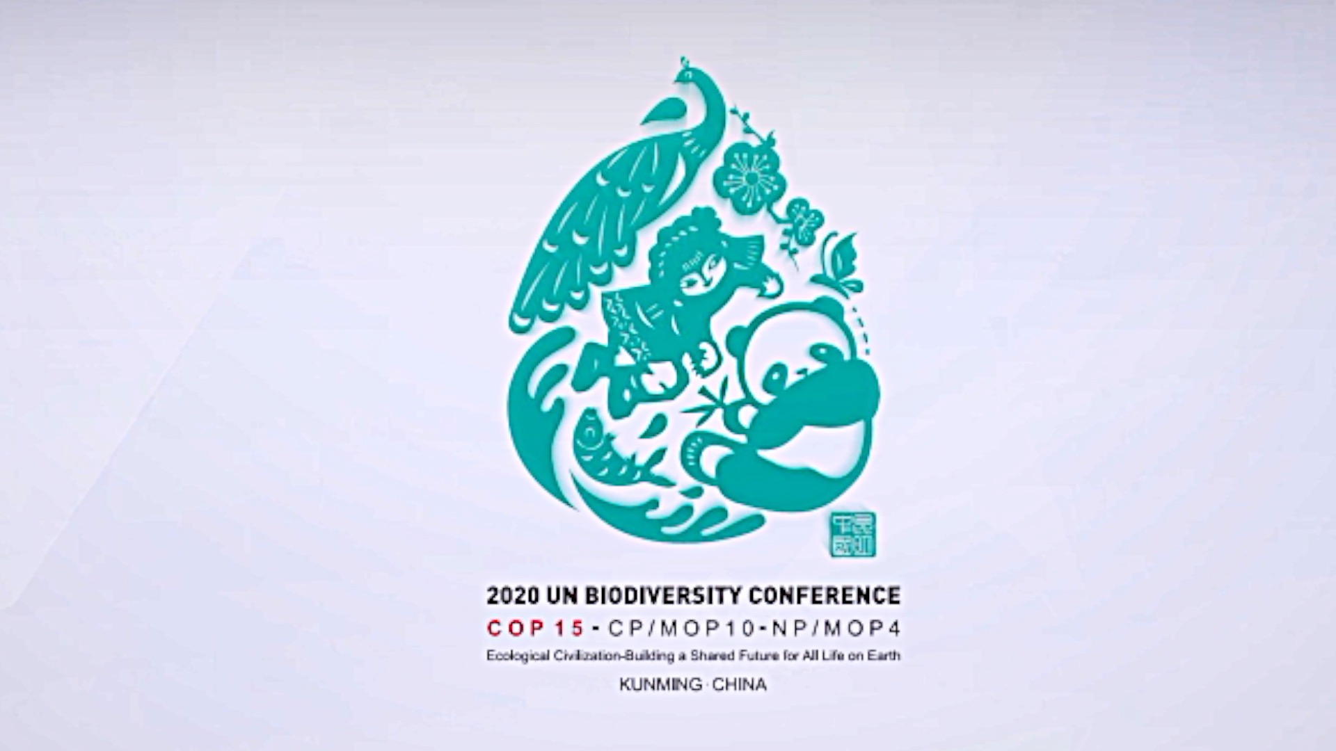 多样云南 央视新闻邀您共赴cop15昆明之约