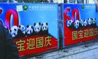 6 pandas arrive in Beijing for National Day