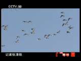CCTV-10���� 2011�� ��59�� ��Լ