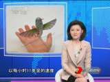 防务新观察 2011年 第19期