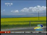 ʮ�껷���飨3��������ǵͨ;