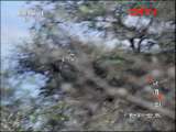 ���������硷 20111114