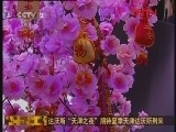[ֱ������˹]����˹�����֮ҹ���ڴ��ļ�������˹����
