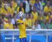 [豪门盛宴]动物世界杯：巴西鹦鹉迎战荷兰狮群
