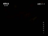 《时代》 20150810 野性的呼唤 第一集 巨树家园