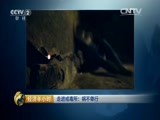 《经济半小时》 20151121 走进戒毒所：祸不单行_CCTV节目官网-CCTV-2_央视网(cctv.com)