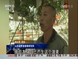 [聚焦三农]“无籽葡萄”打了避孕药 到底是真是假_CCTV节目官网-CCTV17_央视网(cctv.com)