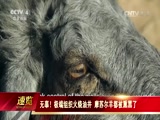 [今日亚洲]无辜！极端组织火烧油井 摩苏尔羊都被熏黑了_CCTV节目官网-CCTV-4_央视网(cctv.com)