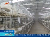 《新闻午报-新疆》 20180119