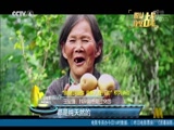 《中国报道》 20180320_CCTV节目官网-CCTV-6_央视网(cctv.com)