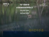 《经济信息联播》 20180810_CCTV节目官网-CCTV-2_央视网(cctv.com)